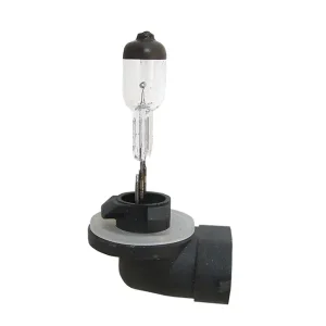 Lampe 12V, 50W Sockel PGJ13 Begrenztes Angebot
