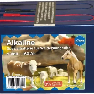 LISTER Alkaline Batterie 9 V / 55 Ah (1 Stück) Must-Have
