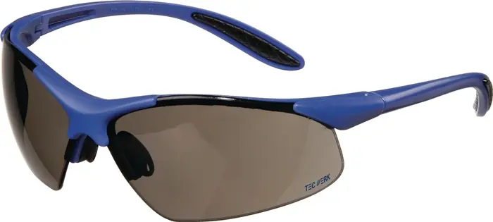 Neue Ware Schutzbrille DAYLIGHT PREMIUM EN 166 Bügel dunkelblau,Scheibe smoke PC TECWERK