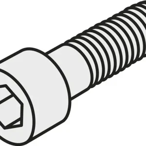 Saisonangebot Innensechskantschraube ISO HS 1230C Bruttogewicht 39,1g PRAMET
