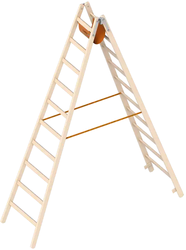 Layher Holzstehleiter 1038 beidseitig begehbar Top-Angebot