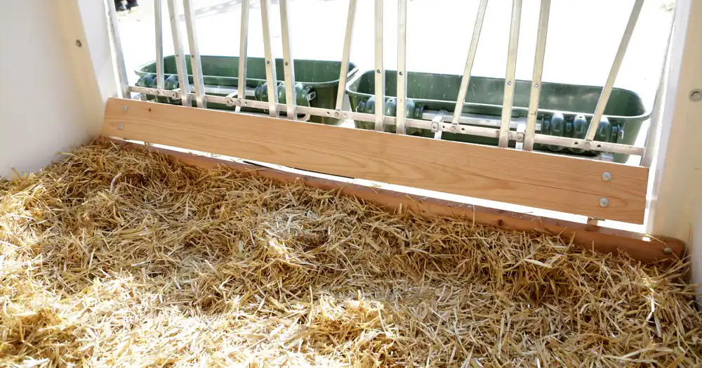 Kerbl CalfHouse Premium XXL Preiswert