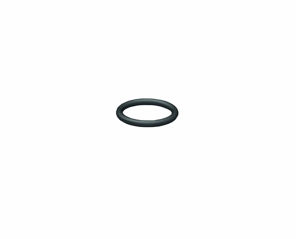 GESIPA O-Ring Echt