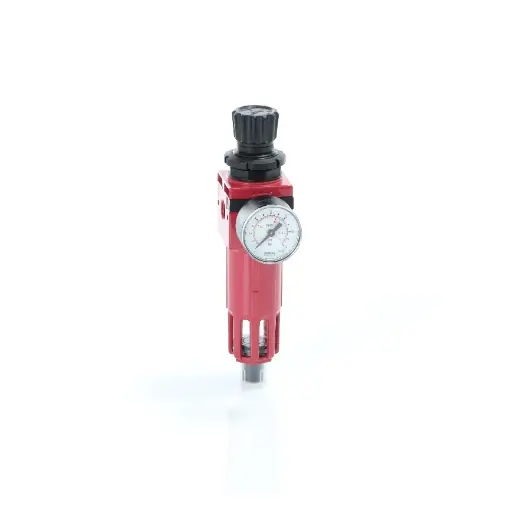 ELMAG Filter-Druckminderer - FRM, 1/4" Sichere Zahlung