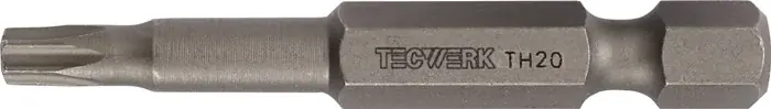 Bit 1/4 Zoll T 40 L.50mm m.Bohr.TECWERK VE: 10 Stück Neu