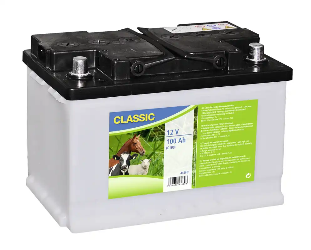 Kerbl 12 V Spezial Nass-Akku 100 AH (C100) Markenprodukt
