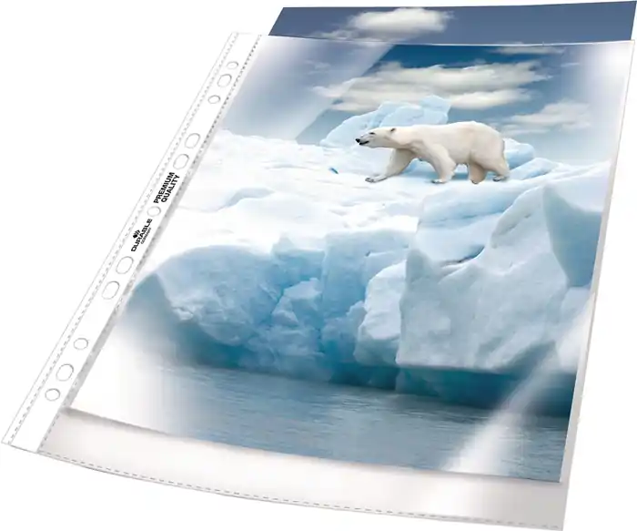 Prospekthülle PREMIUM B246xH20mm genarbt f.Format A4 DURABLE Markenprodukt